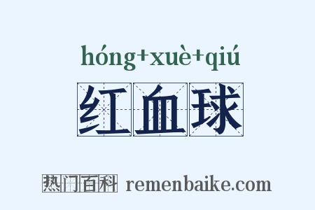 红血球是什么意思的图片